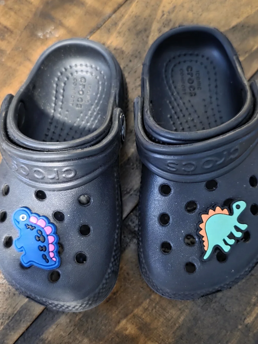 CROCS Kids Black Clogs with Blue and Teal Dinosaur Jibbitz
